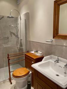 ein Bad mit einem WC, einem Waschbecken und einer Dusche in der Unterkunft Golborne Manor Bed and Breakfast in Chester
