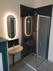 La salle de bains est pourvue d'une douche et d'un lavabo. dans l'établissement Chambre calme centre ville, à Douai
