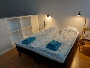 Una cama con dos almohadas azules encima. en Apartment Junki, en Alavieska