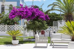 Κήπος έξω από το Sud Hotel Pulsano