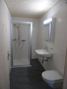 a bathroom with a shower and a toilet and a sink at Alphütte Sammligen Hilfernpass in Flühli