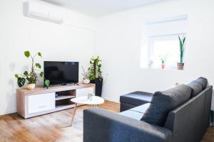 Old Town Watch&C في كورتْشولا: غرفة معيشة مع أريكة وتلفزيون