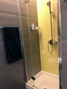 リオデジャネイロにあるIpanema com Todo Confortoのバスルーム(ガラスドア付きのシャワー付)