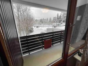 ein Fenster mit Blick auf einen schneebedeckten Hof in der Unterkunft Ferienwohnung in Freudenstadt-Kniebis in Freudenstadt