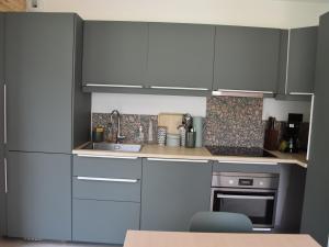 a kitchen with gray cabinets and a sink and a stove at Chalet récent proche centre, piscine et patinoire, avec terrasse et parking couvert - FR-1-464-189 in Pralognan-la-Vanoise +10 photos