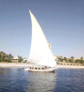 un barco con una vela blanca en el agua en Nile Felucca Adventure en Asuán