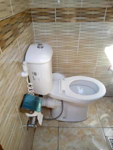 a bathroom with a toilet in a room at Nile Felucca Adventure in Aswan