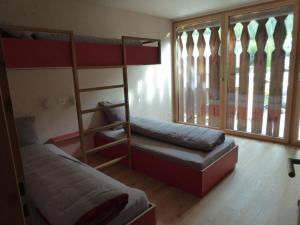 貝爾金的住宿－Biala - BioBergün，一间卧室设有两张双层床和一扇窗户。