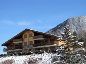 プラローニャン・ラ・ヴァノワーズにあるAppartement Pralognan-la-Vanoise, 4 pièces, 6 personnes - FR-1-464-56の雪上のクリスマスツリーの丸太小屋