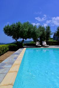 Swimmingpoolen hos eller tæt på Erato villa + 41 billeder