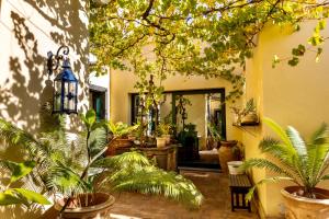 Vonkajšia záhrada v ubytovaní Palazzo Previtera Hotel & Restaurant