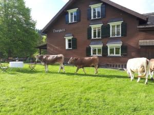 three cows walking in a field in front of a building at Studio Chic mit Whirlpool in Wildhaus