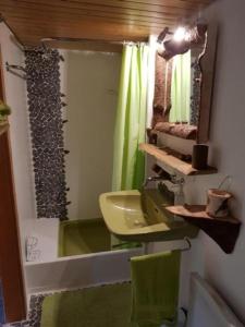 a bathroom with a green sink and a mirror at Studio Chic mit Whirlpool in Wildhaus