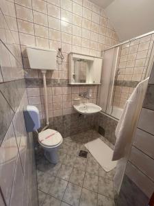a bathroom with a toilet and a sink at Hotel Lupus in Novi Sad