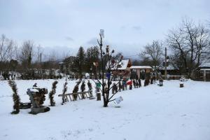a snow covered yard with a tree in the snow at Roua de sub Creasta in Breb