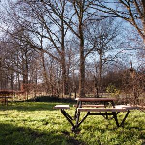 une table de pique-nique assise dans l'herbe dans un parc dans l'établissement Op de Tippe in Rune, à Ruinen