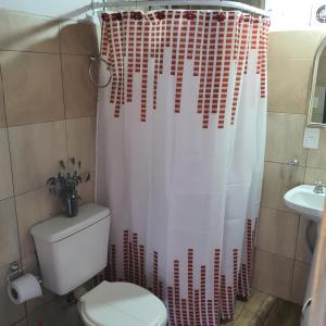 e bagno con servizi igienici e tenda per la doccia. di Cabaña Mimi a Ciudad Lujan de Cuyo