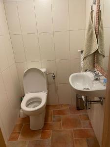 łazienka z toaletą i umywalką w obiekcie Chalupa Skalka w mieście Česká Metuje