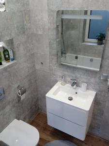 a bathroom with a sink and a toilet and a mirror at Apartament Grunwaldzka in Przemyśl