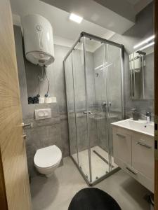 Koupelna v ubytování Apartman Mila
