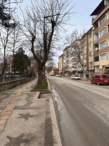 a street with a tree on the side of the road at sıla pansiyon in Edirne