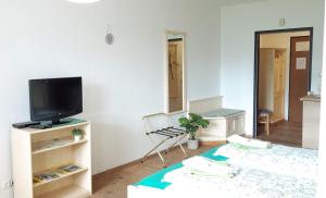 TV a/nebo společenská místnost v ubytování Apartment Keppler