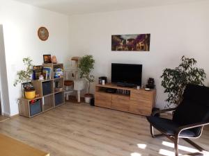 sala de estar con TV de pantalla plana y silla en Relax Appartement, en Bad Radkersburg