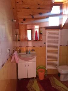 een badkamer met een wastafel en een toilet bij Apartment Zlatibor Vesna in Zlatibor