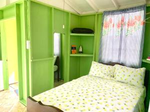 um quarto com paredes verdes e uma cama em Dover Beach House em Christ Church