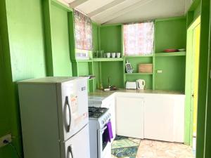 uma cozinha verde com um fogão e um frigorífico em Dover Beach House em Christ Church
