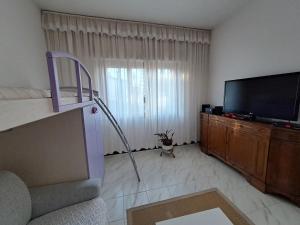 uma sala de estar com uma televisão de ecrã plano e um sofá em Dal Nonno, casa vacanze em Trieste