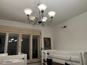 ベオグラードにある市中心，超高速WIFI，免费洗衣机烘干机，8人合住房间床位のギャラリーの写真