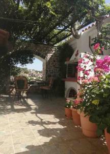 A garden outside Σπίτι με απεριόριστη θέα