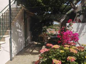 A garden outside Σπίτι με απεριόριστη θέα