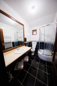 łazienka z 2 toaletami, umywalką i prysznicem w obiekcie Cazare Plopii fara Sot w Jassach