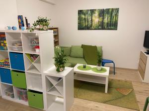 TV a/nebo společenská místnost v ubytování Apartmán Meluzína