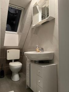 ein Bad mit einem WC und einem Waschbecken in der Unterkunft Ferienwohnung Soltau in Soltau
