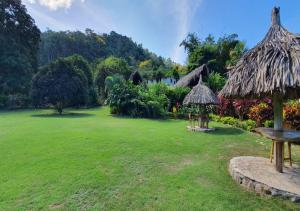 une grande cour avec un parasol et un champ dans l'établissement Hotel Zaku Reserva Natural, à Palomino