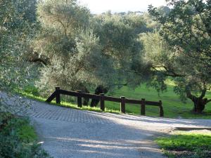 Fotografia z galérie ubytovania Villa María Montecastillo Golf v destinácii Jerez de la Frontera