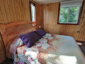 ein Schlafzimmer mit einem Bett in einem Holzzimmer in der Unterkunft Cabaña CyG 2 - Chaitén in Chaitén