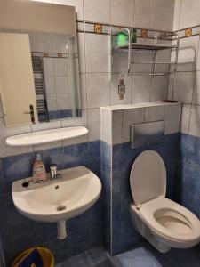 Koupelna v ubytování Apartmány 009