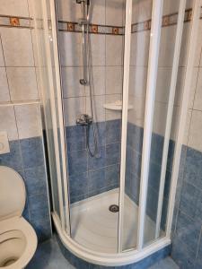 Koupelna v ubytování Apartmány 009