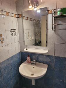 uma casa de banho com um lavatório e um espelho em Apartmány 009 em Borová Lada