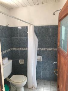 a bathroom with a toilet and a shower at Hospedaje Elias in Tilcara