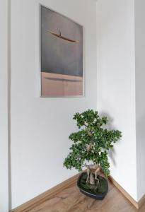 Fotografie z fotogalerie ubytování Appartement design La Petite Europe - Idéal Curistes ve Vichy