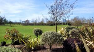 a garden with bushes and a field in the background at Puddleduck Cottage - Part of the The Bay Filey Holiday Village with pool, gym and direct beach access, pub, restaurant, tennis and meadows walks in Filey