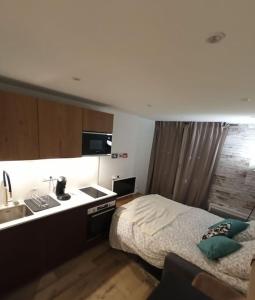 - une chambre avec un lit, un lavabo et un lavabo dans l'établissement Le Sasha, à Chamonix-Mont-Blanc