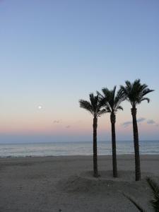 - deux palmiers sur la plage au coucher du soleil dans l'établissement Maison Al Riad, à Mojácar