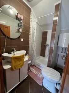 een badkamer met een wastafel, een toilet en een douche bij Kuća - Na Granici in Ilok