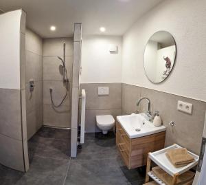 een badkamer met een douche, een toilet en een wastafel bij Apartment Alte Raiffeisenkasse Rothenburg ob der Tauber in Rothenburg ob der Tauber